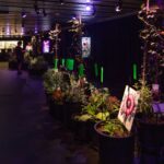exposição venenosas, nocivas e suspeitas